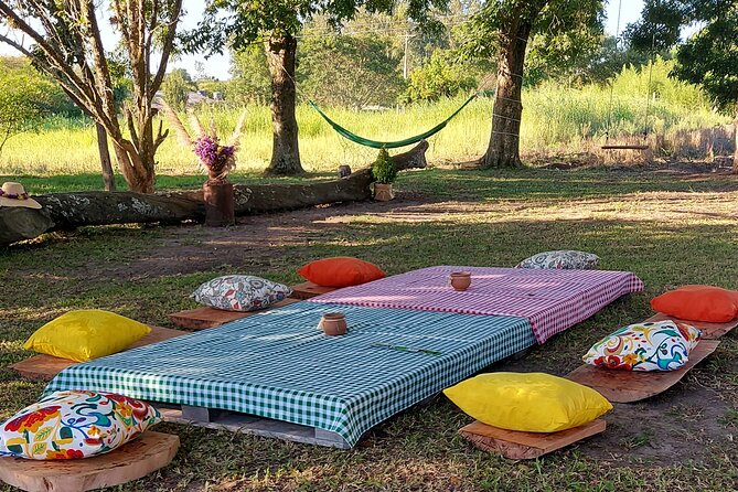 Picnic at the Illuminated Fig Tree