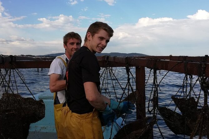 Picpoul De Pinet Half Day Oysters and Wine Minibus Excursion