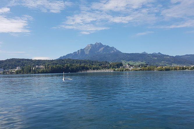 Pilatus Golden Roundtrip: Exclusive Small Group Tour From Zürich