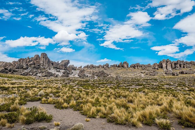 Pillones Waterfall and Stone Forest Excursion From Arequipa