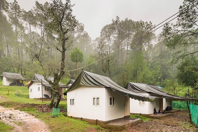 Pine Forest Camping Near Shimla – 1 Night
