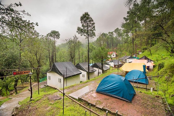 Pine Forest Camping Near Shimla – 2 Nights