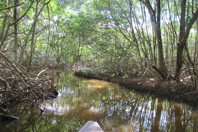 Plantaadje' Wetland Bicycle Tour - Tour Inclusions