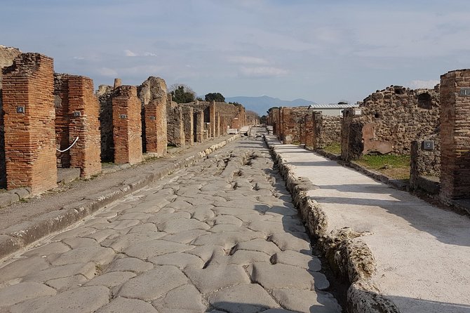 Pompeii and Herculaneum Guided Tour With an English-Speaking Archaeologist - Tour Highlights