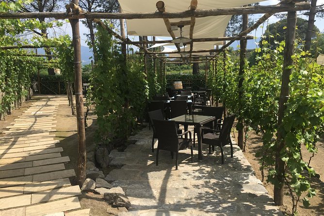 Pompeii and Winery - Tour Highlights