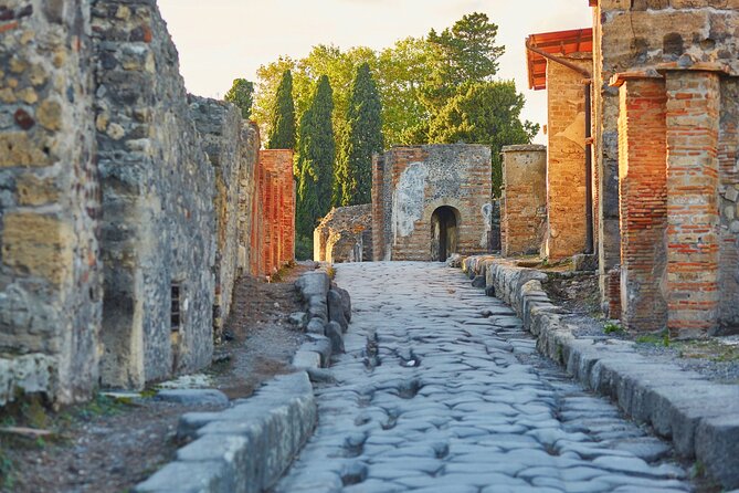 Pompeii Private Guided Tour With Tickets From Sorrento - Pricing and Reservations