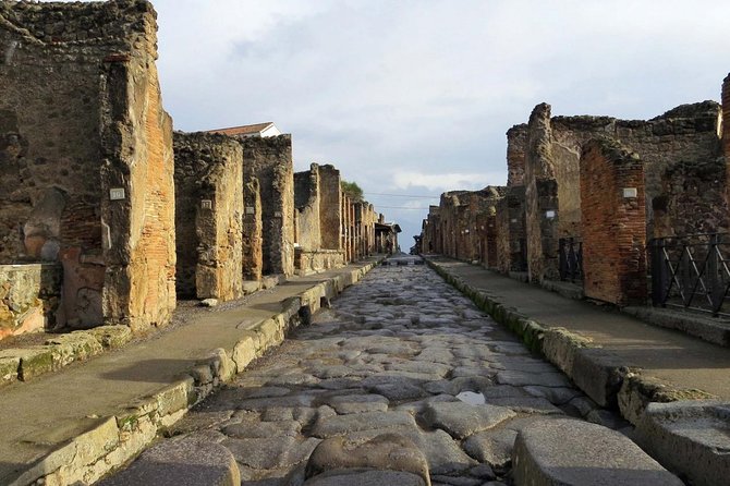 Pompeii Private Tour With Tour Guide Plus Wine Tasting Read Description - Tour Overview