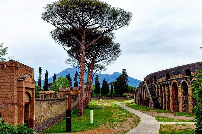 Pompeii Skip the Line Shared Group Tour - Tour Details