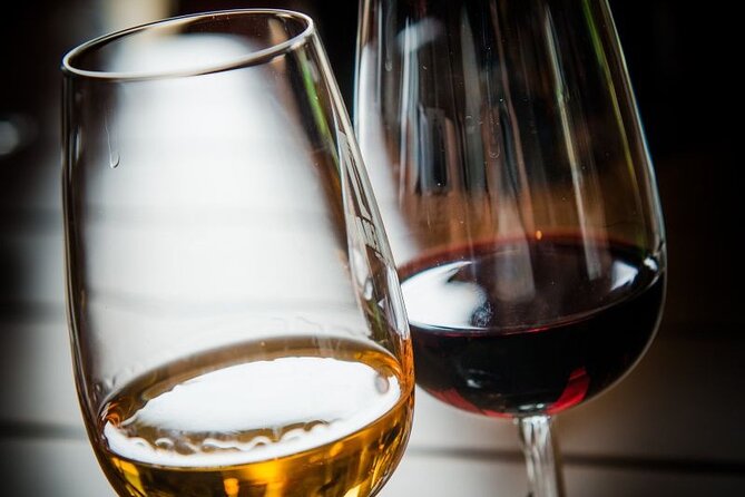 Port Wine - Amazing Douro Valley and Amarante - From Porto - Tour Details
