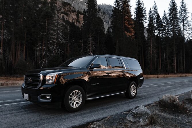 Prague to Vienna One Way Private Transfer - Vehicle and Chauffeur