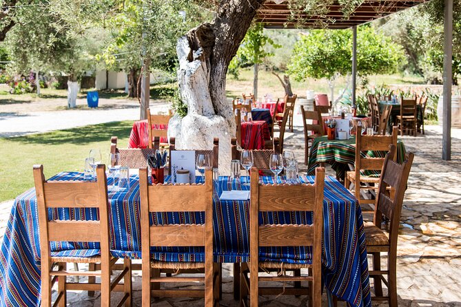 Premium Wine Tour and Tasting at the Organic Winery in Crete