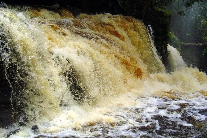 Presidente Figueiredo Waterfalls Day Trip From Manaus