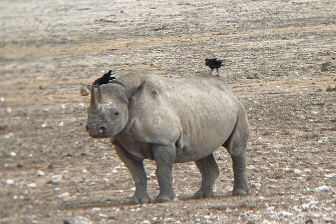 Private 11 Days Namibian Guided Tour - Inclusions and Exclusions