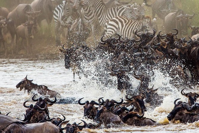 Private 13 Days Best of Kenya Wildlife Safari Trail