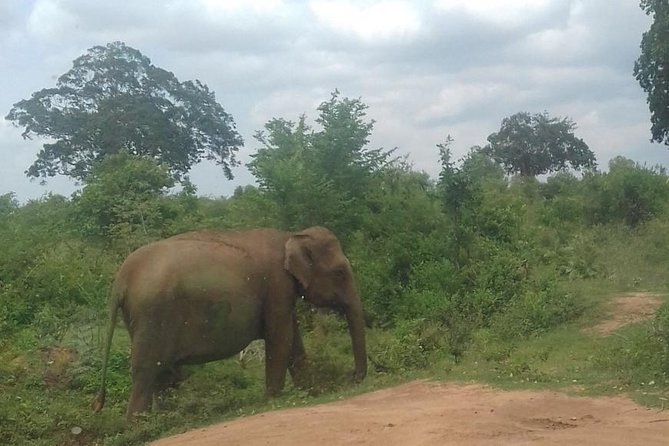 Private 2 Day Tour Udawalawe & Ella From Kandy - Tour Itinerary Overview