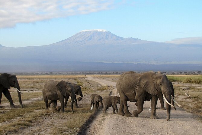 Private 2 Days Tour Amboseli National Park Safari