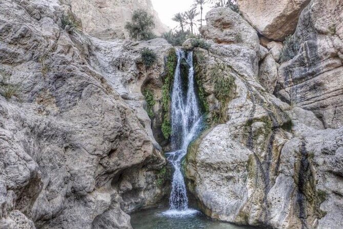 Private 2 Days Tour Overnight Ras Al Hadd Camping - Inclusions and Exclusions