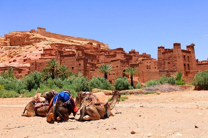 Private 3 Days Desert Tour From Marrakech To Merzouga Dunes & Camel Trek - Tour Highlights