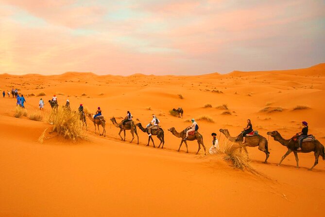Private 3 Days Tour to Fes via Merzouga Desert and Camel Trek From Marrakech