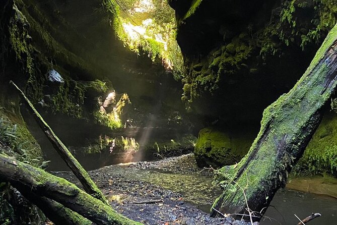 Private 3-Hour Canyoning Experience on the Correntoso River