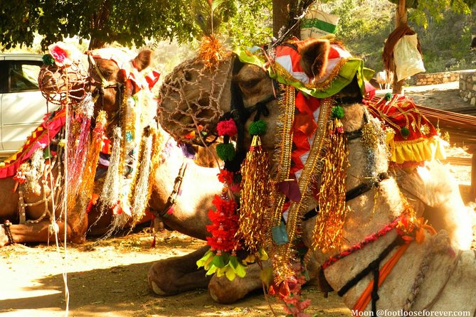 Private 4 Hrs Walking Tour in Pushkar Including Spiritual Walk & Market Visits