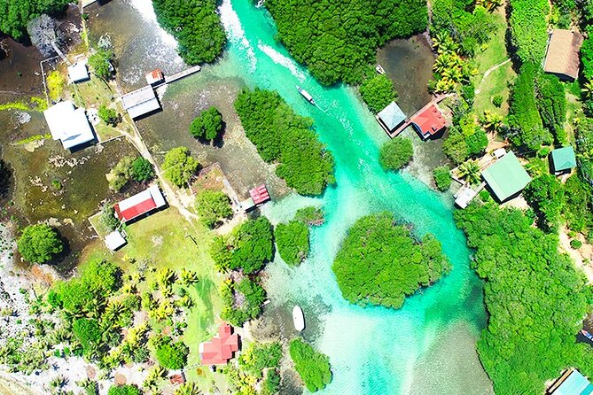 Private 5-Day Tour of the Treasures of Eastern Roatan