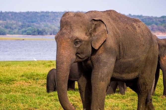 Private 7 Days Tour to the Big Five Wildlife in Sri Lanka - Tour Duration and Location