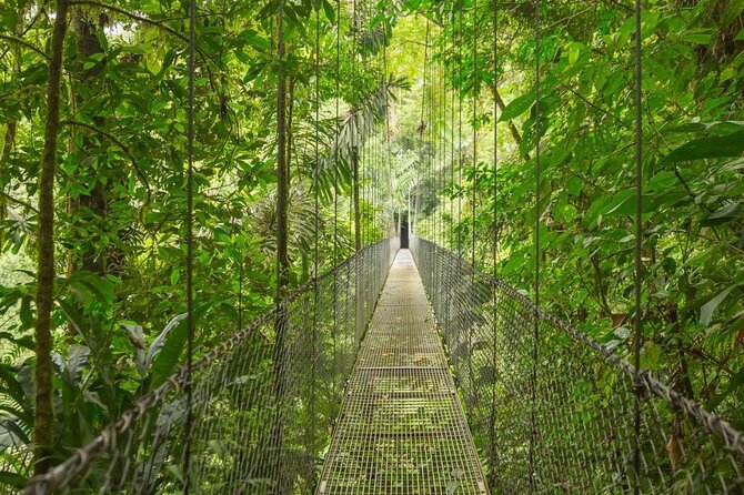 Private 8-Day Costa Rica Luxury Tour - Tour Highlights