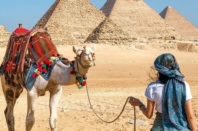 Private 8-Hour Tour Giza Pyramids and National Museum of Egyptian Civilization - Inclusions