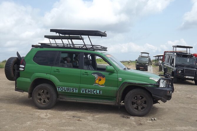Private 9 Days Wildlife Tour in Uganda - Pickup Details