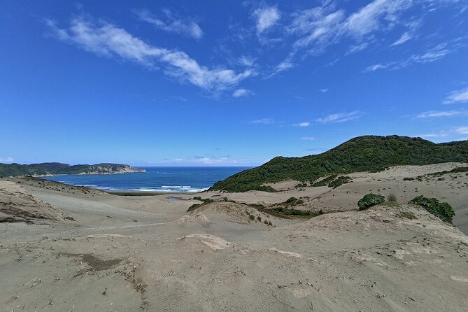 Private Activity Hiking, Time Wharf – Tricolor.