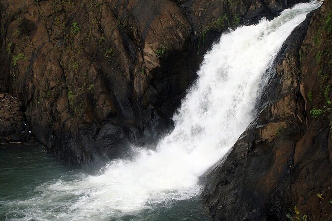 Private Adventures in the Jungle Near Goa