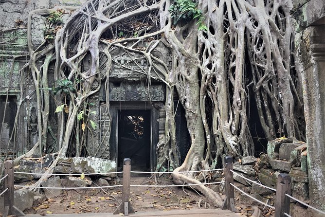 Private Angkor Wat Sunrise Bayon Ta Prohm Private From Siem Reap - Meeting and Pickup Details