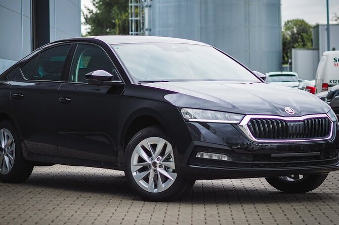 Private Arrival From Alicante Airport ALC to Alicante City by Car - Additional Information