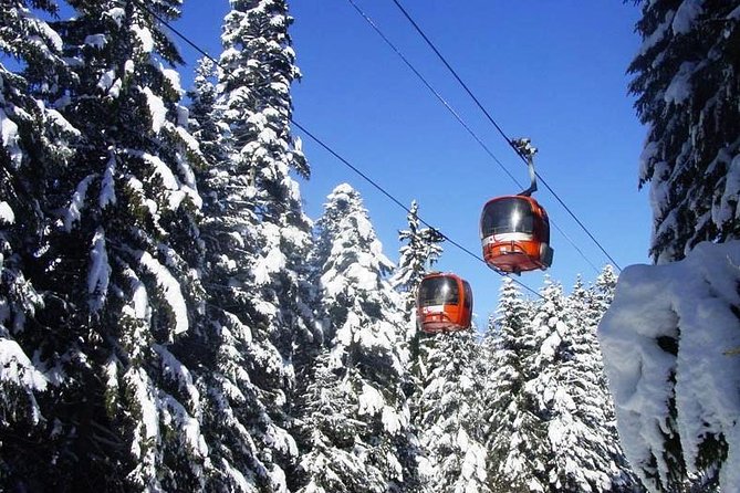 Private Arrival Transfer From Sofia Airport to Bansko - Transport Information