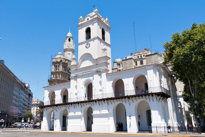 Private Art and Museums Tour in Buenos Aires - Inclusions and Features