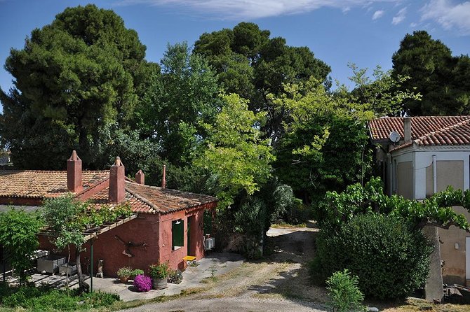 Private Athens Wine Tour For Dedicated Wine Lovers - Meeting and Pickup