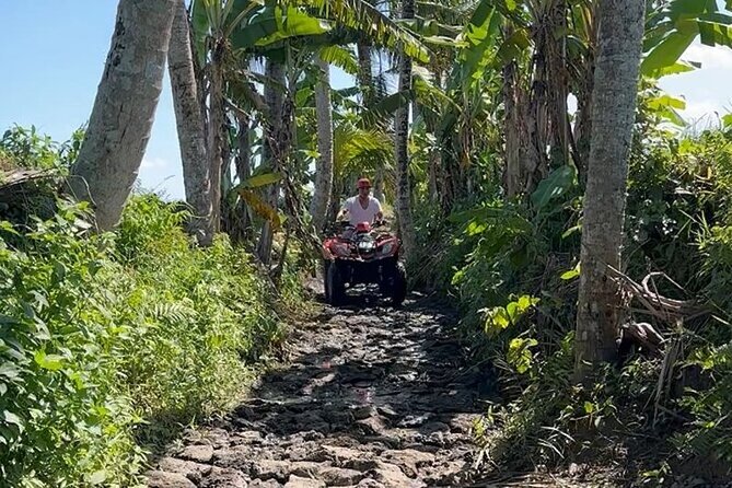 Private ATV Quad Bike Guided Adventure in Ubud - Activity Overview