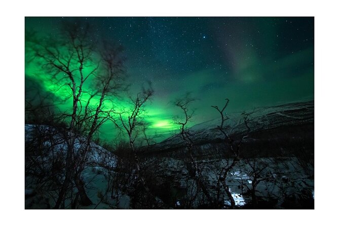 Private Aurora Borealis Tour Kiruna Abisko With Street Food - Dining Experience