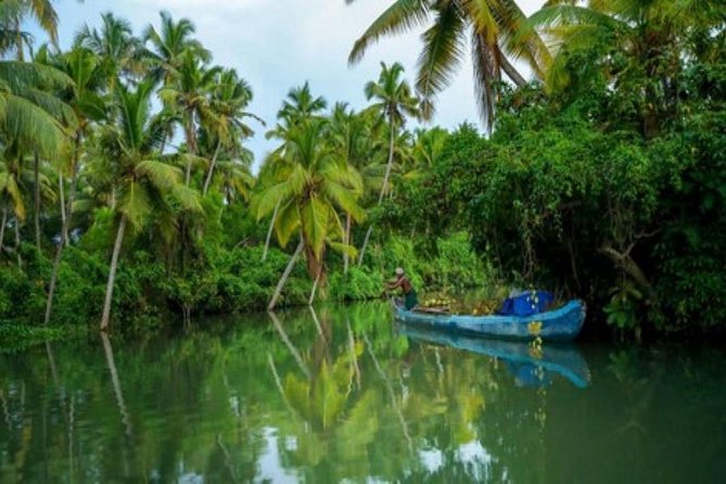 Private Backwater Cruise on a Houseboat and Shikara Including Lunch