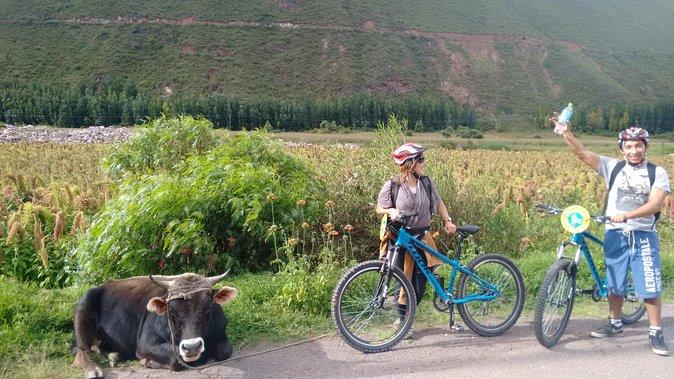 Private Bike Tour: South Valley of Cusco and Pisaq Market - Itinerary Details