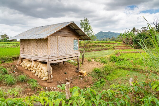 Private Bolaven Plateau Waterfall Trek Tour in Pakse