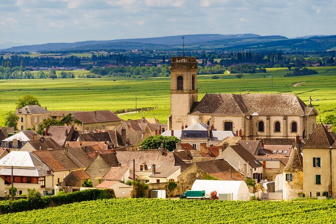 Private Burgundy Côte De Beaune Wine Tour Experience From Beaune - Overview of the Tour