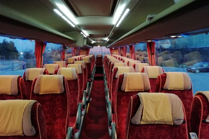 Private Bus From Trieste Cruise Port to Venice Airport (Vce) - Transportation Details