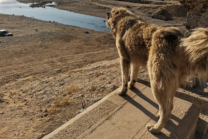 Private Cappadocia and Göbeklitepe, Sanlıurfa Tour From Istanbul - Inclusions and Exclusions