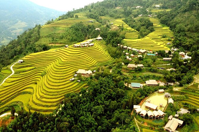 Private Car 2 Days 1 Night Hoang Su Phi in Hagiang - Tour Highlights