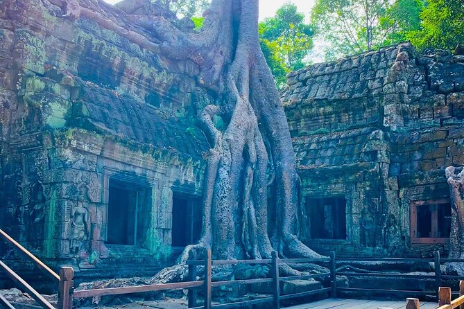 Private Car Charter ( 4 Hr ) Visit Angkor + Wat Bayon + Ta Phrom - Start Time and Transport