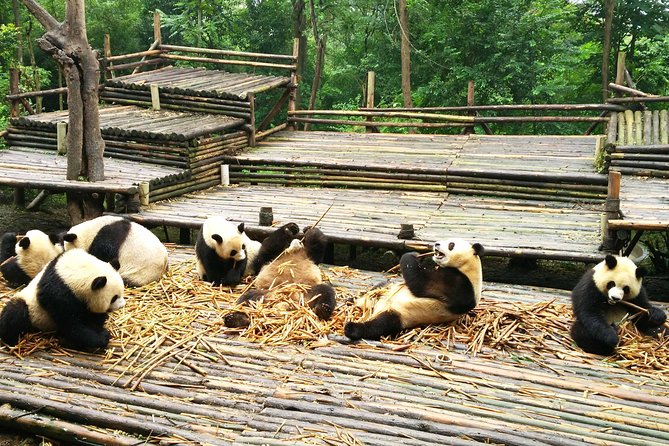 Private Chengdu Experience: Giant Pandas and the Sanxingdui Museum - Tour Details