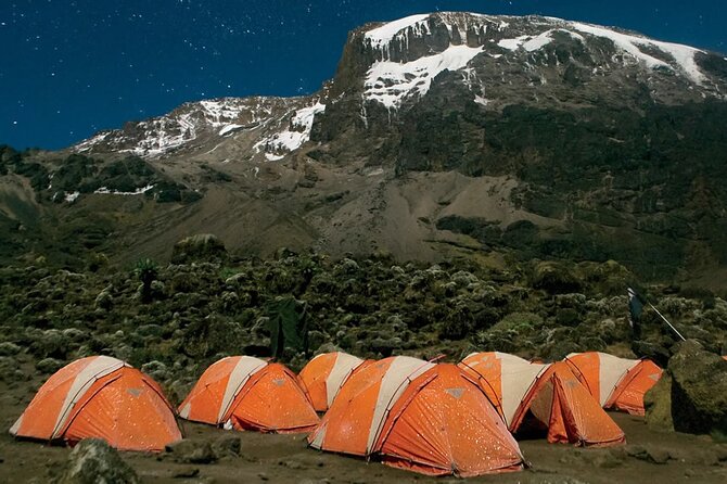 Private Climbing Tour to Kilimanjaro Machame Route - Tour Highlights