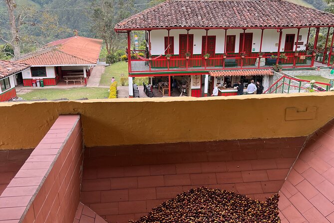 Private Cocora Valley Coffee Tour With Guide